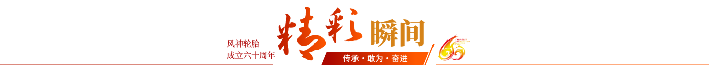全年免费综合资料大全