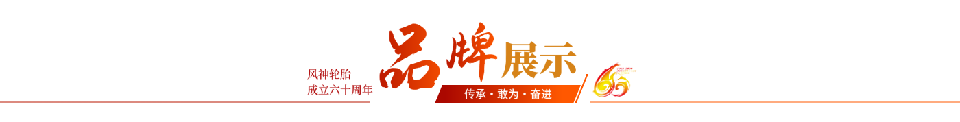 全年免费综合资料大全