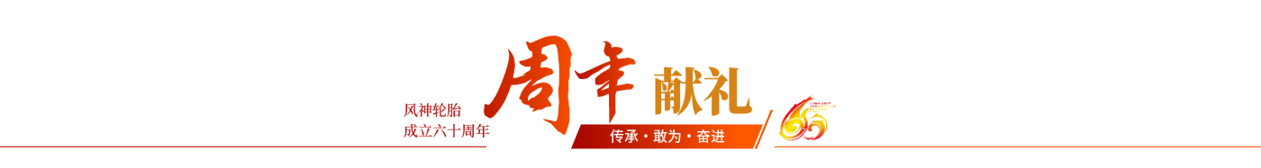 全年免费综合资料大全