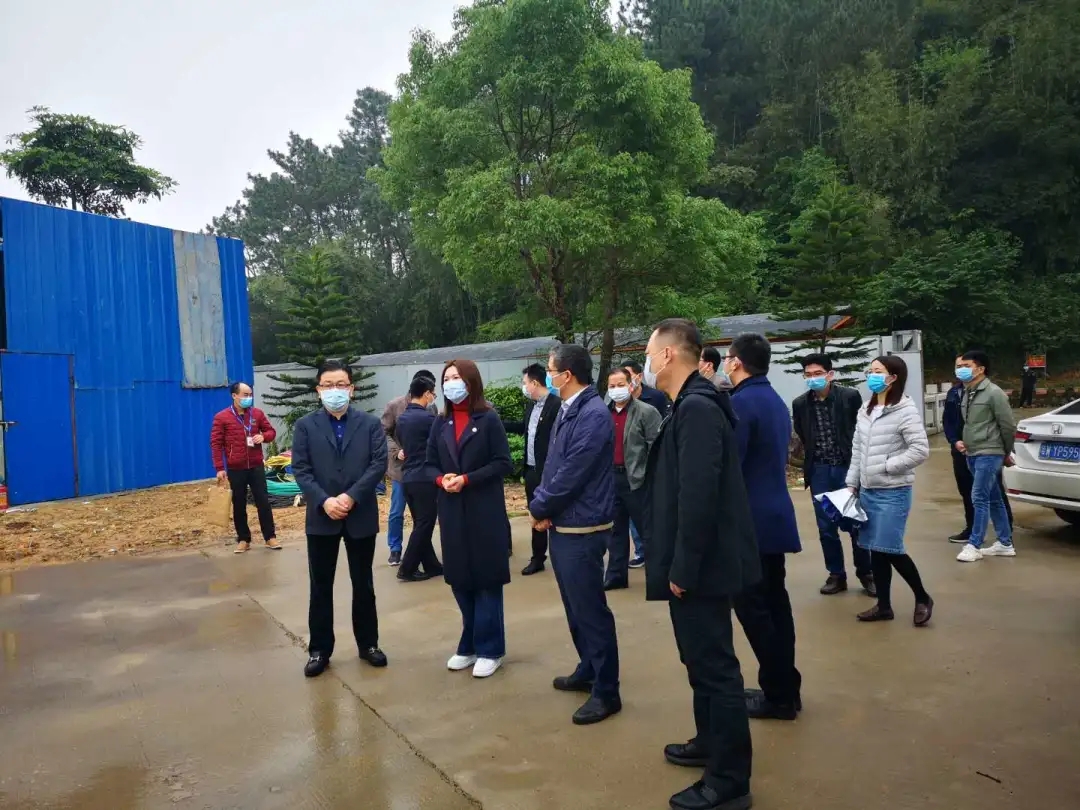 全年免费综合资料大全