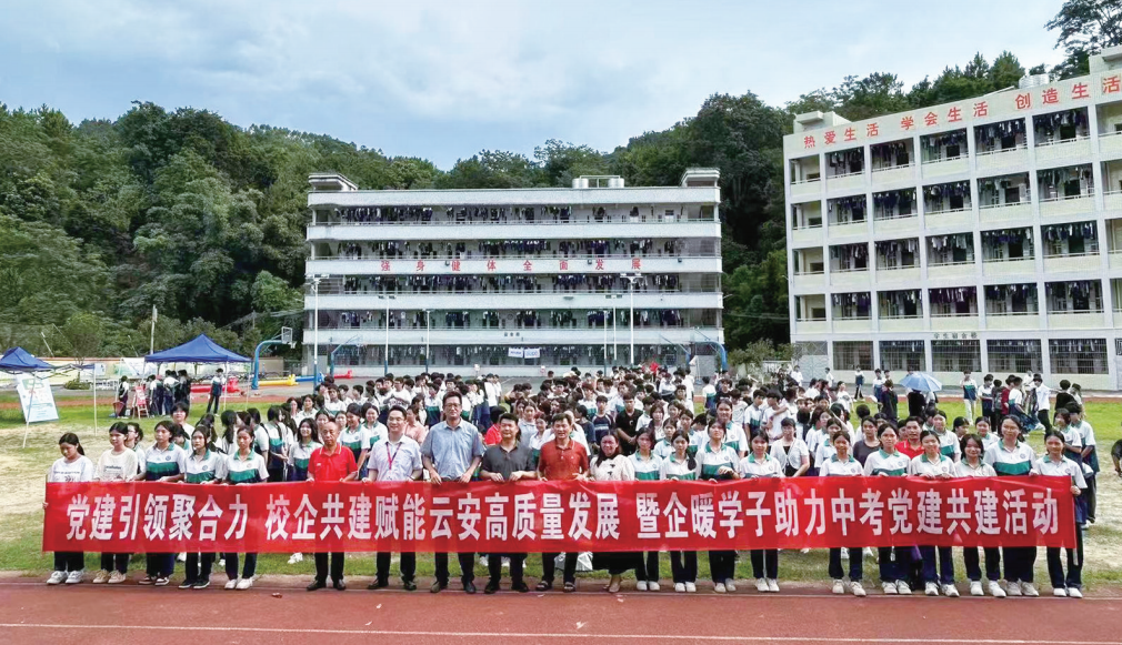 全年免费综合资料大全