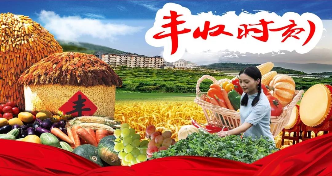 全年免费综合资料大全