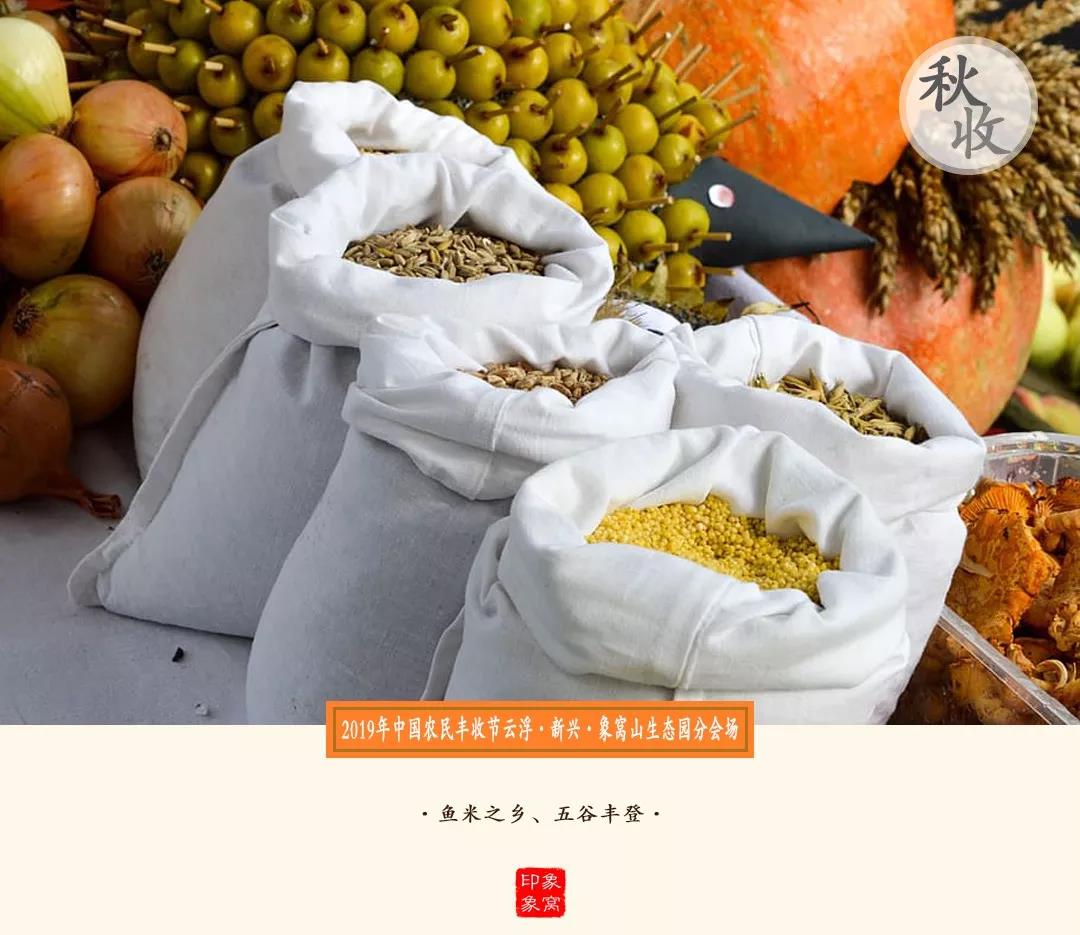 全年免费综合资料大全