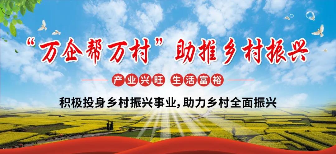 全年免费综合资料大全